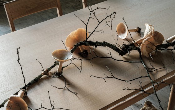 От кухни до бара. Выбираем стулья