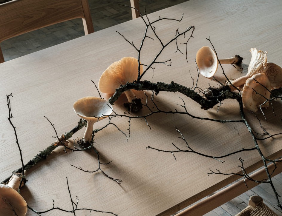 От кухни до бара. Выбираем стулья