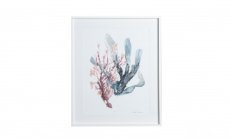 Постер Sweet Seaweed I