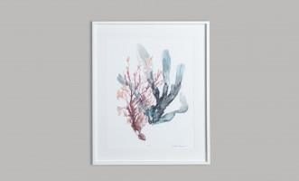 Постер Sweet Seaweed I