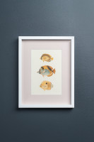 Постеры Tropical Fishes сет из 4 шт
