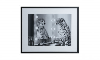 Постер Cheetah Wild Beauty