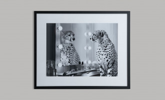 Постер Cheetah Wild Beauty