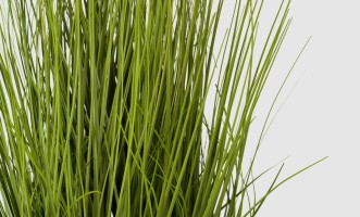 Декоративное искусственное растение Onion Grass Green, выс. 70 см