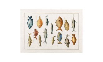 Полотенце кухонное Дары Моря (рыбы)/La mer