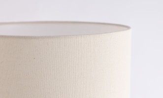 Настольная лампа Raina