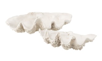 Фигурка Дорис большая