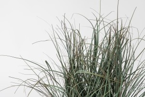 Декоративное искусственное растение Grass в горшке, 43 см