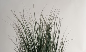 Декоративное искусственное растение Grass в горшке