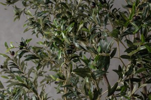 Декоративное искусственное дерево Olive Tree Olea, 260 см