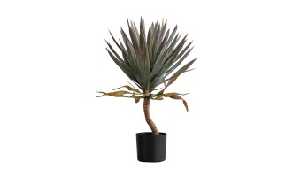 Декоративное искусственное дерево Yucca Tree, 72 см