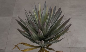 Декоративное искусственное дерево Yucca Tree, 72 см