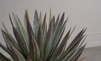 Декоративное искусственное дерево Yucca Tree, 72 см