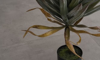Декоративное искусственное дерево Yucca Tree, 72 см