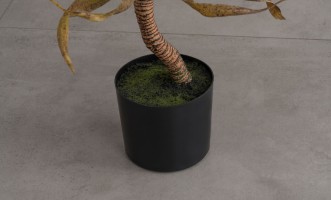 Декоративное искусственное дерево Yucca Tree, 72 см