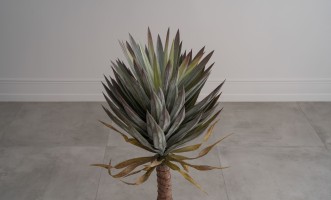 Декоративное искусственное дерево Yucca Tree, 118 см