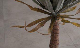 Декоративное искусственное дерево Yucca Tree, 118 см