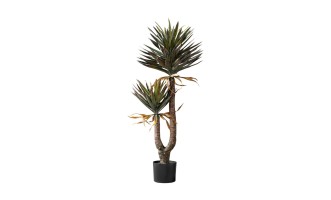 Декоративное искусственное дерево Yucca Tree, выс. 146 см