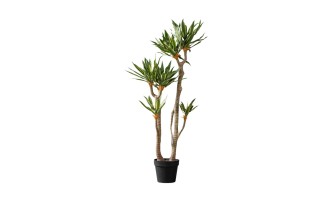 Декоративное искусственное дерево Yucca Tree, выс. 130 см