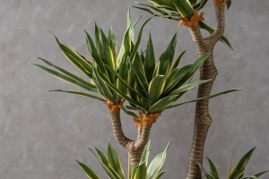 Декоративное искусственное дерево Yucca Tree, выс. 130 см