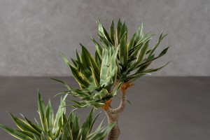 Декоративное искусственное дерево Yucca Tree, выс. 130 см
