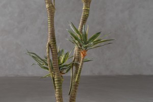 Декоративное искусственное дерево Agave Tree, выс. 155 см
