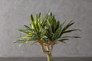 Декоративное искусственное дерево Agave Tree, выс. 155 см