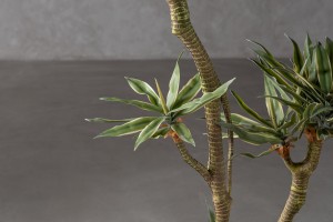 Декоративное искусственное дерево Agave Tree, выс. 155 см