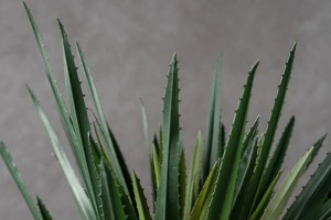 Декоративное искусственное дерево Aloe Tree, выс. 150 см