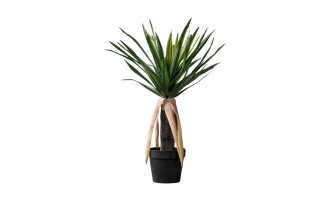 Декоративное искусственное дерево Aloe Tree, выс. 90 см