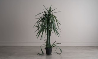 Декоративное искусственное дерево Dragon Fruit Tree, 160 см