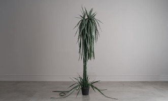 Декоративное искусственное дерево Dragon Fruit Tree, 220 см