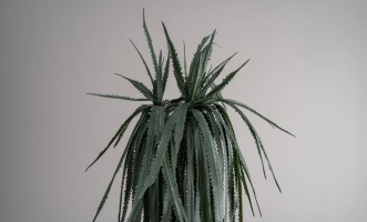 Декоративное искусственное дерево Dragon Fruit Tree, 220 см