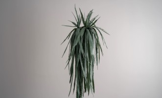 Декоративное искусственное дерево Dragon Fruit Tree, 220 см