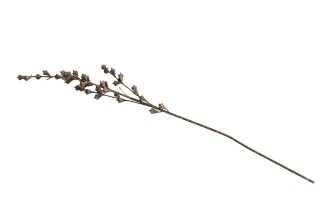 Декоративная искусственная ветвь Eucalyptus Branch, 75 см