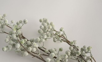 Декоративная искусственная ветвь Smilax Grey Branch, 88 см