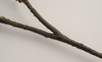 Декоративная искусственная ветвь Tropical Fruit Branch, 90 см
