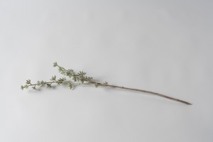 Декоративная искусственная ветвь Eucalyptus Branch, выс. 78 см