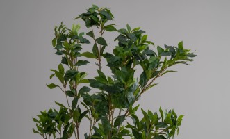 Декоративное искусственное дерево Dracaena, 220 см