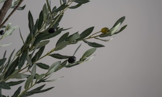 Декоративное искусственное дерево Olive Tree, 300 см