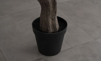 Декоративное искусственное дерево Olive Tree, 300 см