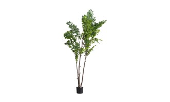 Декоративное искусственное дерево Ginkgo Tree, 240 см
