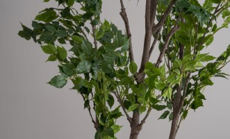 Декоративное искусственное дерево Ginkgo Tree, 240 см