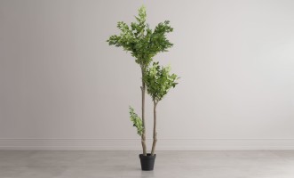 Декоративное искусственное дерево Ginkgo Tree, 210 см