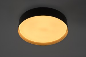 Светильник потолочный Риу / Riu бронзоый / bronze D43xH10,5