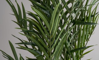 Декоративное искусственное дерево Palm Tree, 210 см