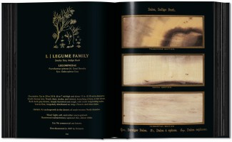 The Woodbook: The Complete Plates