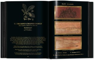 The Woodbook: The Complete Plates