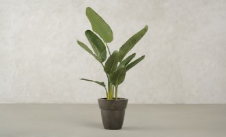 Декоративное искусственное дерево Traveler Banana Tree, выс. 120 см