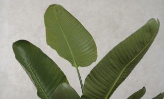 Декоративное искусственное дерево Traveler Banana Tree, выс. 120 см